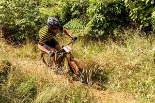 Flying....Bee - Men's Short Sleeve Cycle Jersey. Photo: Lisa Ng